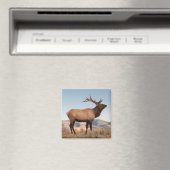 Bull Elk Near Mammoth | Wyoming Magneet (Insitu (Vaatwasser))