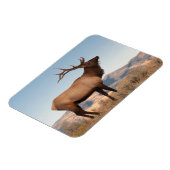 Bull Elk Near Mammoth | Wyoming Magneet (Linkerzijde)