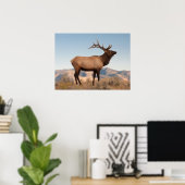 Bull Elk Near Mammoth | Wyoming Poster (Thuiskantoor)