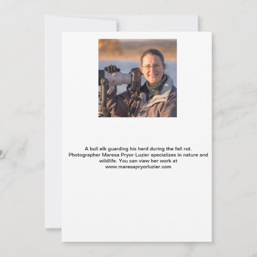 Bull Elk Note Kaart (Achterkant)