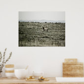 Bull Elk P2800 Print (Keuken)