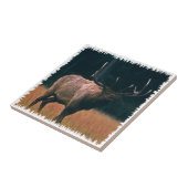 Bull Elk Photo Tegeltje (Zijkant)