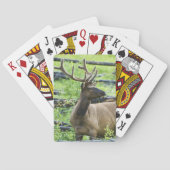 Bull Elk Pokerkaarten (Achterkant)