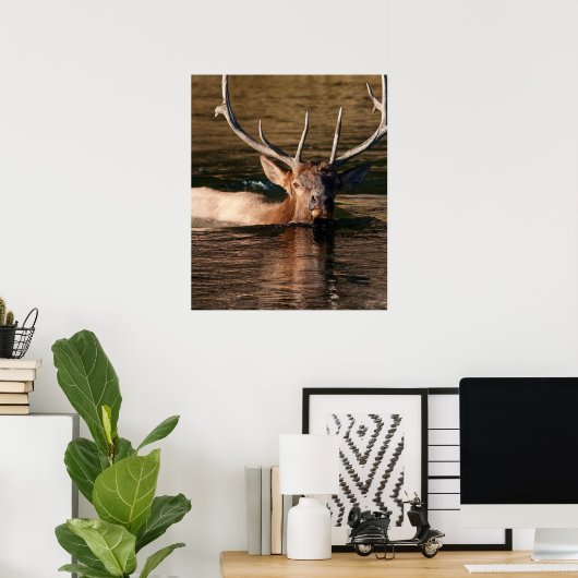 Bull Elk Poster (Thuiskantoor)