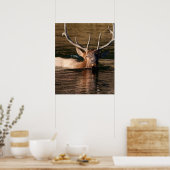 Bull Elk Poster (Keuken)