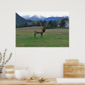 Bull Elk Poster (Keuken)