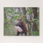 Bull Elk Puzzle Legpuzzel (Horizontaal)
