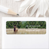 Bull Elk Return-adreslabel Etiket (Insitu)