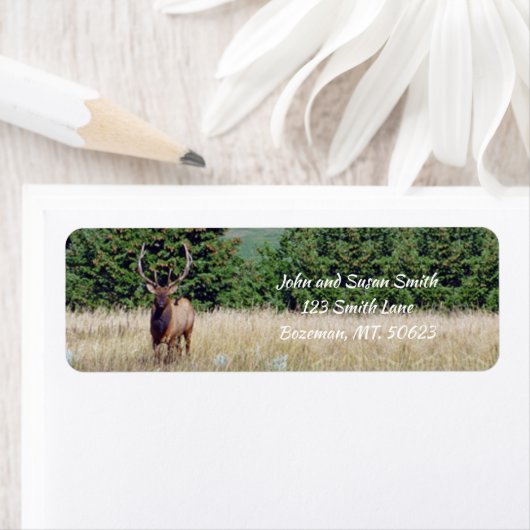 Bull Elk Return-adreslabel Etiket (Insitu)