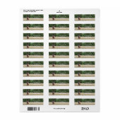 Bull Elk Return-adreslabel Etiket (Full Sheet)