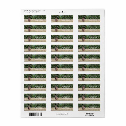 Bull Elk Return-adreslabel Etiket (Full Sheet)