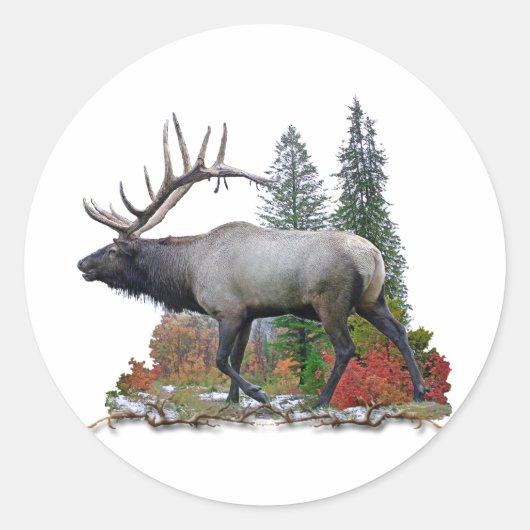 Bull Elk Ronde Sticker (Voorkant)