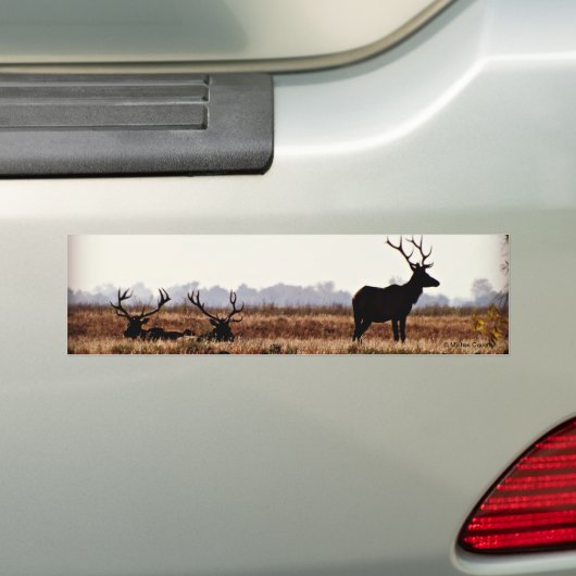 Bull Elk Silhouette Bumpersticker (Op auto)