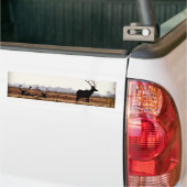 Bull Elk Silhouette Bumpersticker (Op Truck)