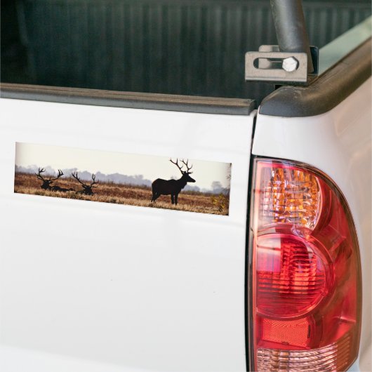 Bull Elk Silhouette Bumpersticker (Op Truck)
