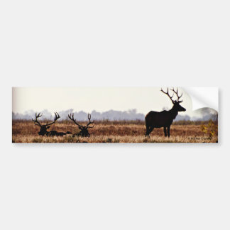 Bull Elk Silhouette Bumpersticker