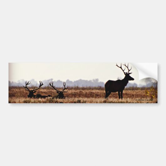 Bull Elk Silhouette Bumpersticker (Voorkant)