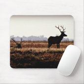Bull Elk Silhouette Muismat (Met muis)