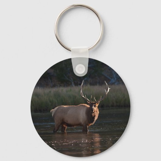 Bull Elk Sleutelhanger (Voorkant)