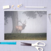 Bull Elk Tissuepapier (Craft)