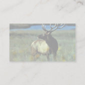 Bull elk visitekaartje (Achterkant)