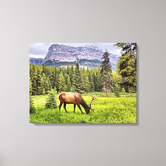 Bull Elk Wrapped Canvas (Voorkant)