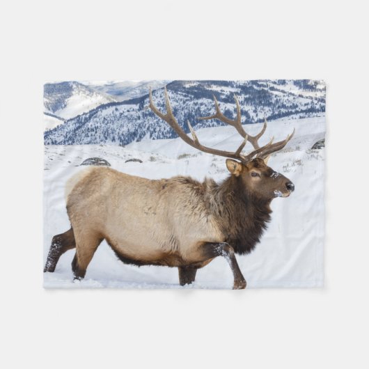 Bull Elk | Wyoming Fleece Deken (Voorkant (Horizontaal))