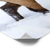 Bull Elk | Wyoming Poster (Hoek)