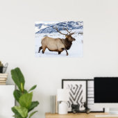 Bull Elk | Wyoming Poster (Thuiskantoor)