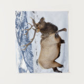 Bull Elk | Wyoming Wandkleed (Voorkant)