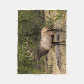 Bull Elk Yellowstone National Park Wyoming Fleece Deken (Voorkant)