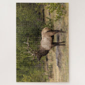 Bull Elk Yellowstone National Park Wyoming Legpuzzel (Verticaal)