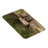 Bull Elk Yellowstone National Park Wyoming Magneet (Rechterzijde)