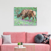 Bull Elks Rocky Mountain National Park, Colorado Canvas Afdruk (Insitu (Woonkamer))