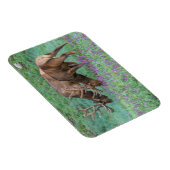 Bull Elks Rocky Mountain National Park, Colorado Magneet (Rechterzijde)