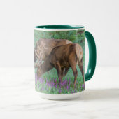 Bull Elks Rocky Mountain National Park, Colorado Mok (Voorkant rechts)