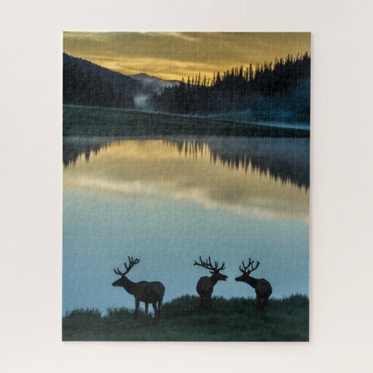 Bull Elks Silhouetted Poudre Lake Sunrise Legpuzzel (Verticaal)