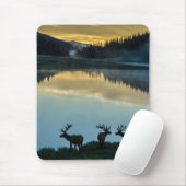 Bull Elks Silhouetted Poudre Lake Sunrise Muismat (Met muis)