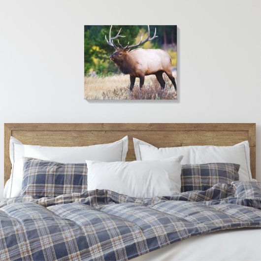 Bull en Aspen Trees | Nationaal park Rocky Mountai Canvas Afdruk (Insitu (Slaapkamer))