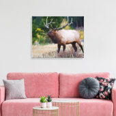 Bull en Aspen Trees | Nationaal park Rocky Mountai Canvas Afdruk (Insitu (Woonkamer))