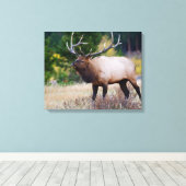 Bull en Aspen Trees | Nationaal park Rocky Mountai Canvas Afdruk (Insitu (Houten vloer))