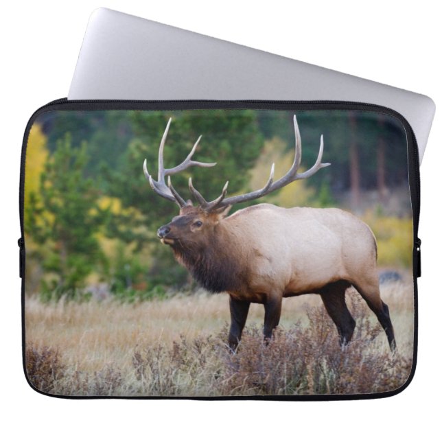 Bull en Aspen Trees | Nationaal park Rocky Mountai Laptop Sleeve (Voorkant)