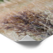 Bull en Aspen Trees | Nationaal park Rocky Mountai Poster (Hoek)