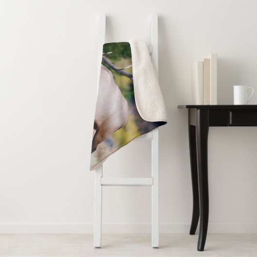 Bull en Aspen Trees | Nationaal park Rocky Mountai Sherpa Deken (In situ)