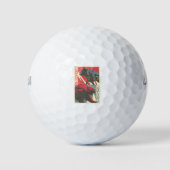 Bull - en Beer - day - Transders - Cadeau Golfballen (Voorkant)
