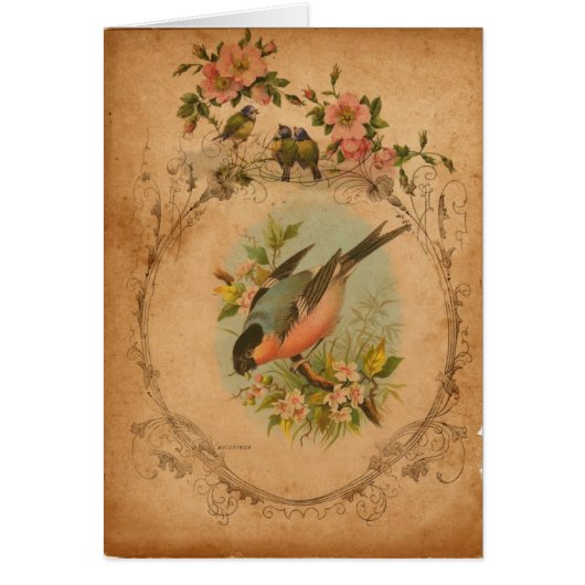 Bull Finch Digital Art All Occasions Wenskaart (Voorkant)