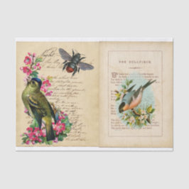 Bull Finch Ephemera Book Pages with Bee & Birds Tissuepapier