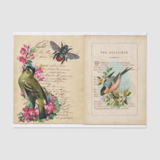 Bull Finch Ephemera Book Pages with Bee & Birds Tissuepapier (Voorkant)