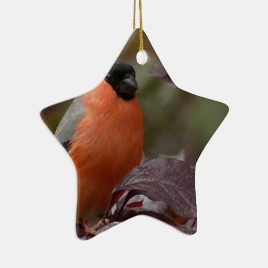 Bull Finch Keramisch Ornament (Rechts)