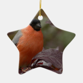 Bull Finch Keramisch Ornament